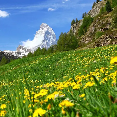 Silence-5 By Interhome * Zermatt